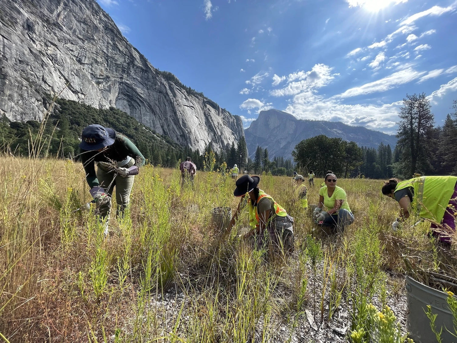 People participating in a conservation project in a mountainous area with greenery and clear skies.